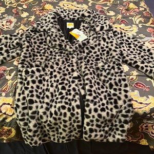 c&c california size Large